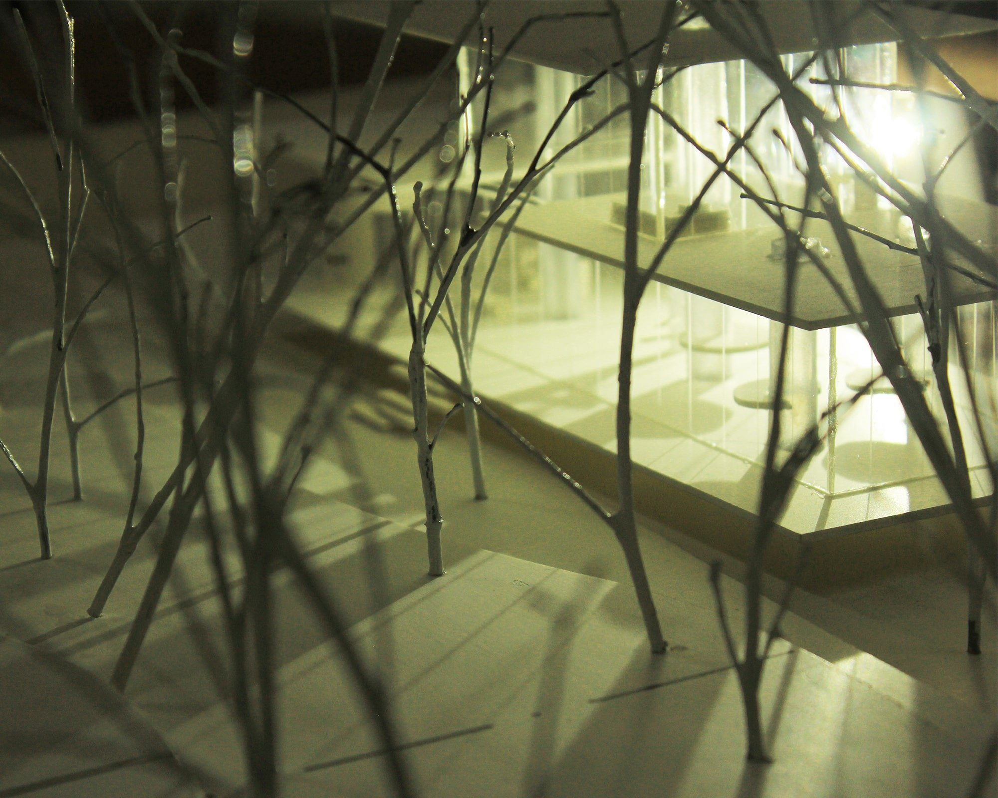 The transparent atelier appears through dense branches, reinforcing its immersive relationship with nature.