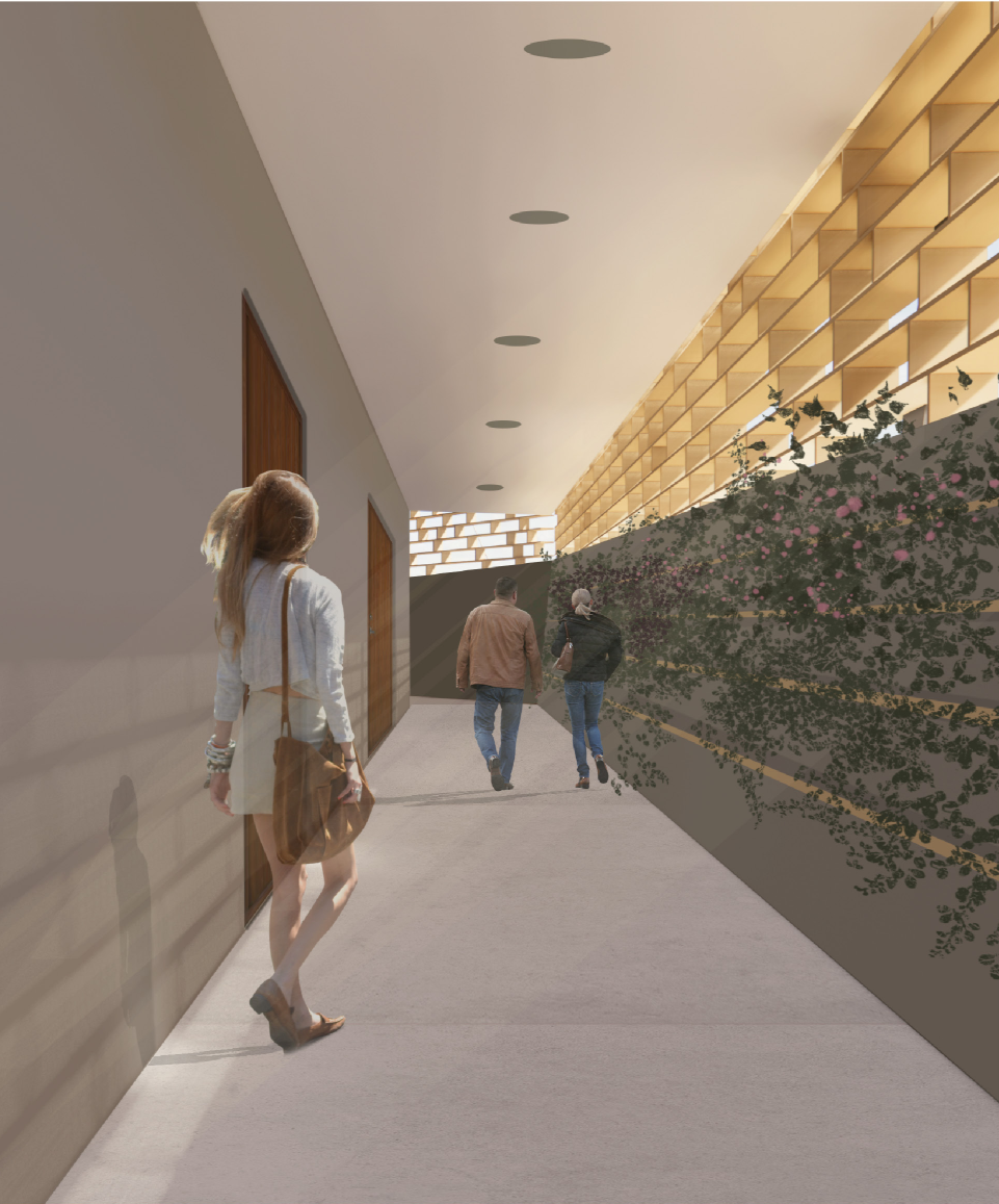 Shaded circulation corridor softened by greenery and filtered daylight.