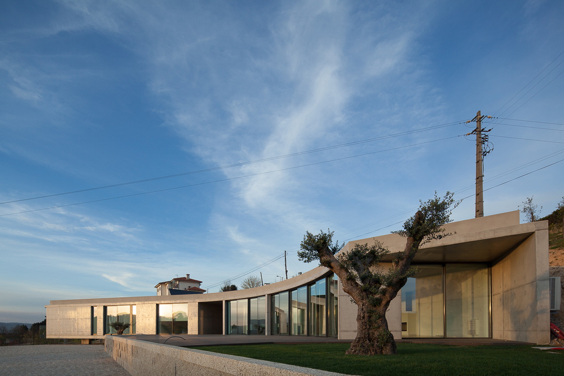 Curved concrete house with floor-to-ceiling glazing and an olive tree in the lawn under wispy evening clouds
