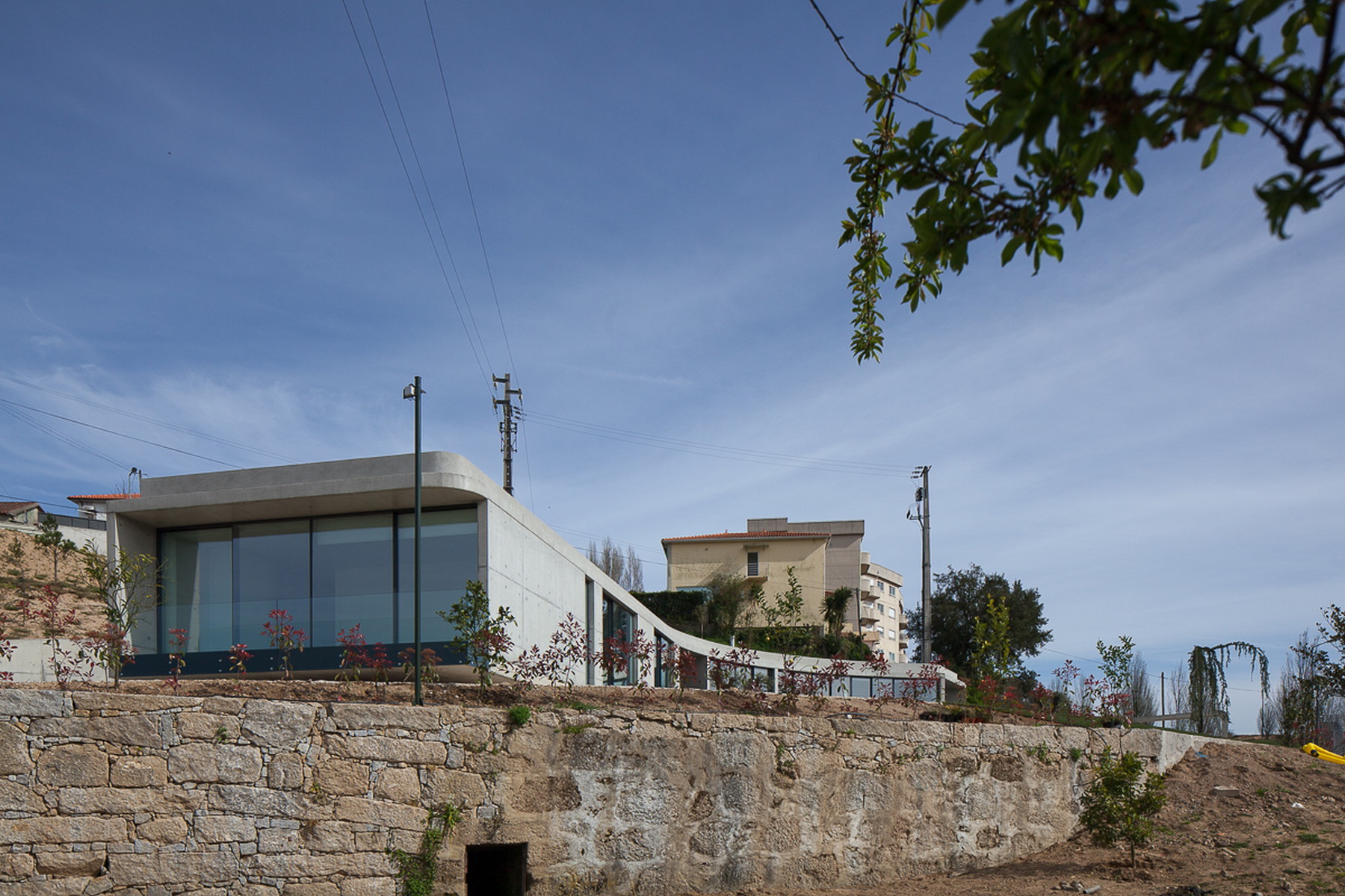 Low concrete house with a glazed corner rising behind a rough granite retaining wall and young flowering shrubs under a blue sky