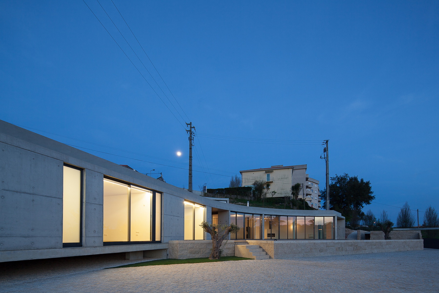 Curved concrete house glowing from within at dusk, with a small olive tree, stone steps and a moon above