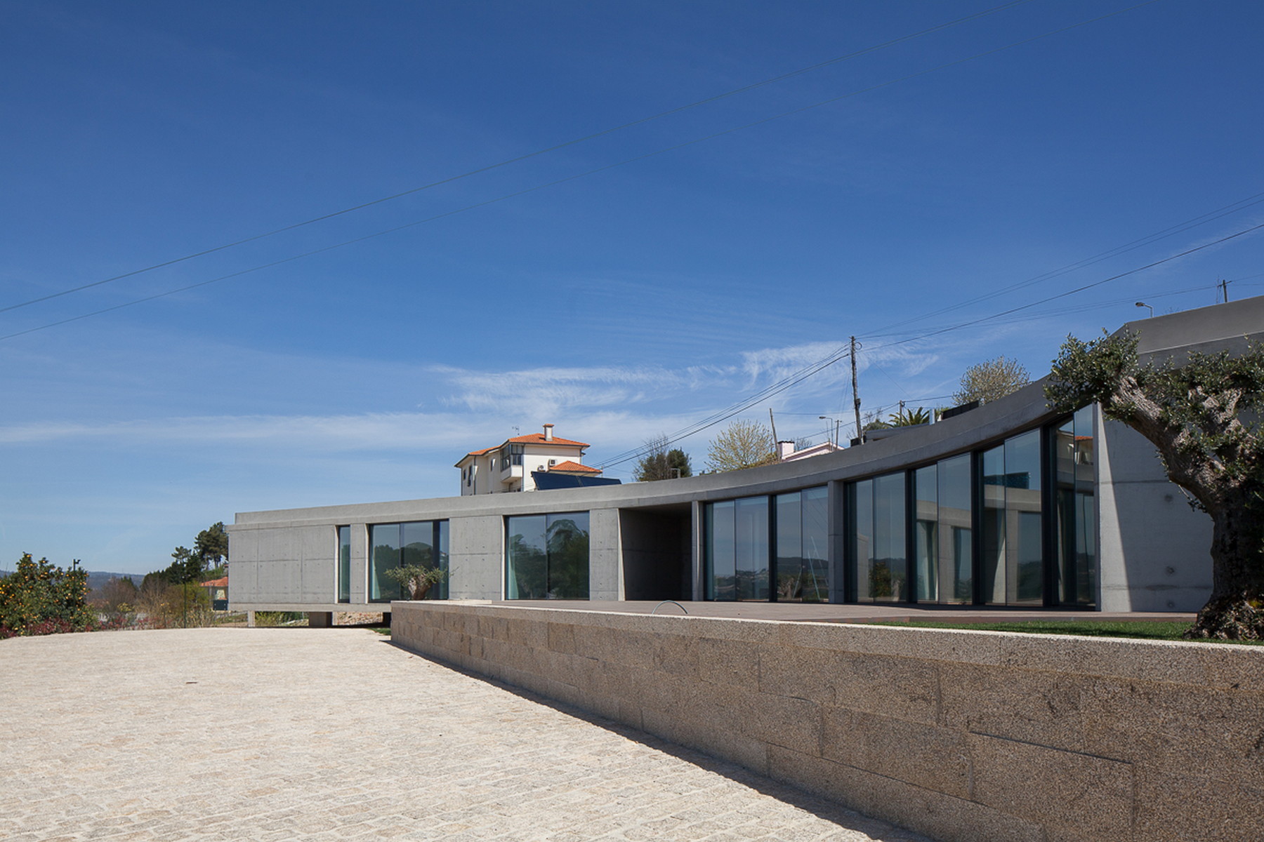 Curved concrete house with a glazed facade behind a granite retaining wall, an olive tree at the right edge