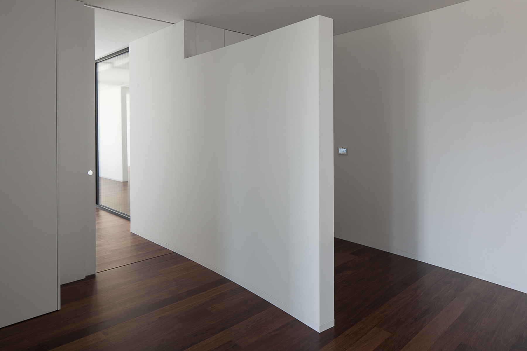 Curved white partition wall standing free on a dark timber floor, with a glazed opening visible beyond at left