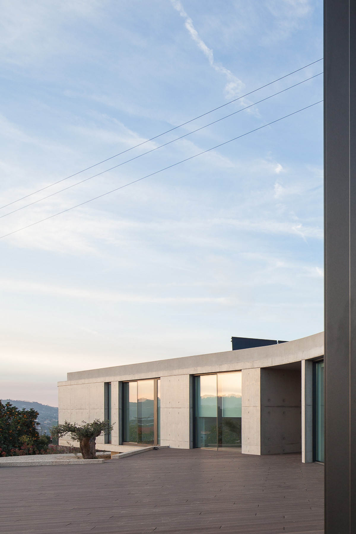 Curved board-formed concrete facade with glazed openings above a timber deck and a potted olive tree at dusk