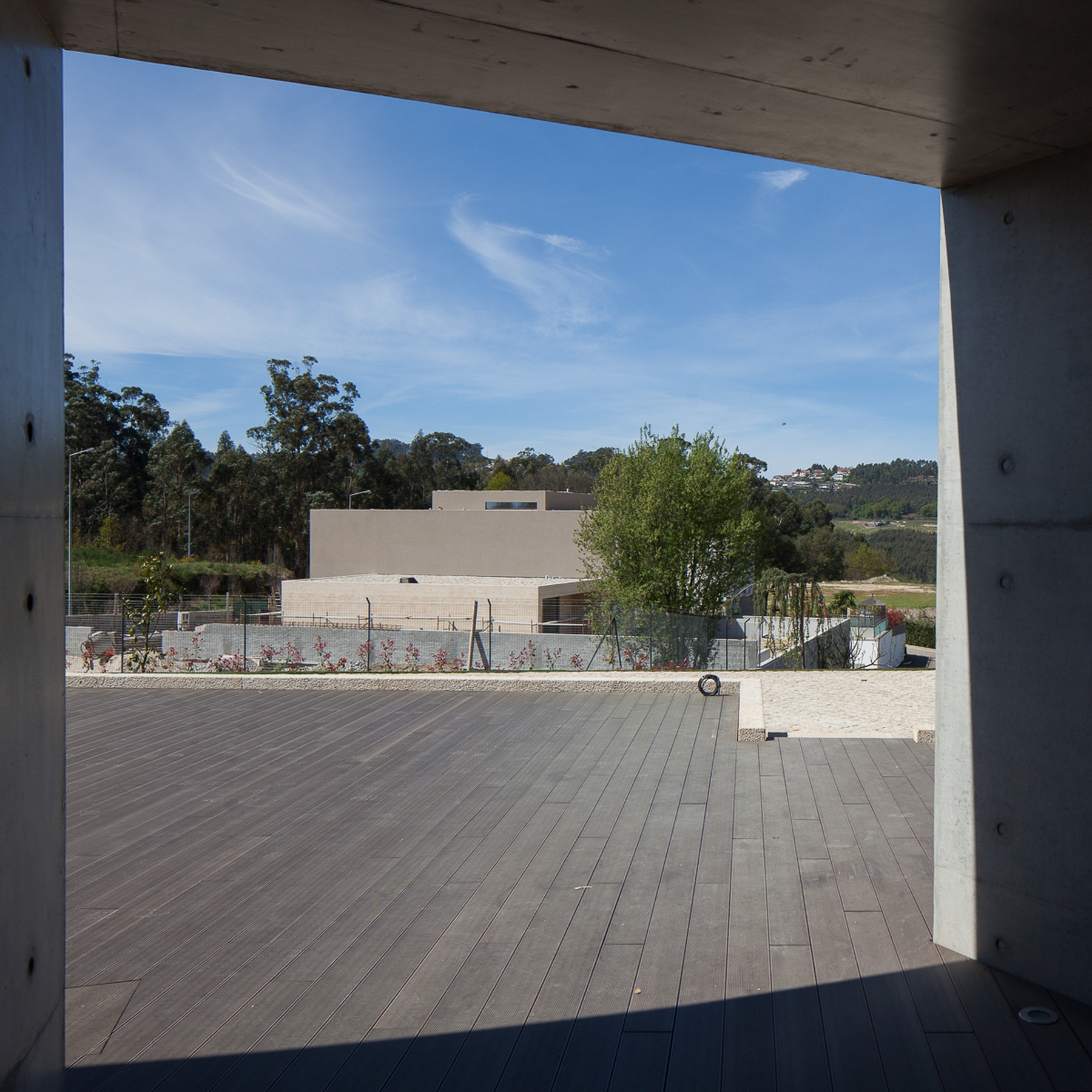 Concrete frame opening onto a grey timber deck, with eucalyptus trees and a neighbouring building under a bright blue sky
