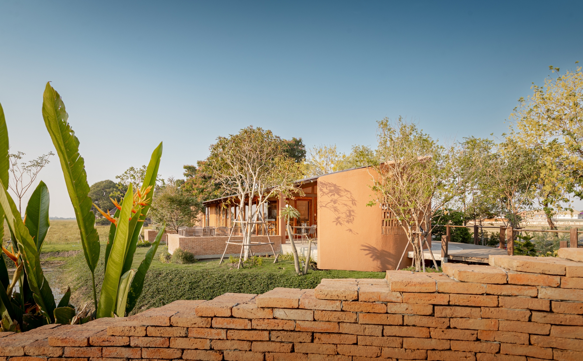 Garden view showing stacked clay brick wall and planted courtyard with young trees in afternoon light