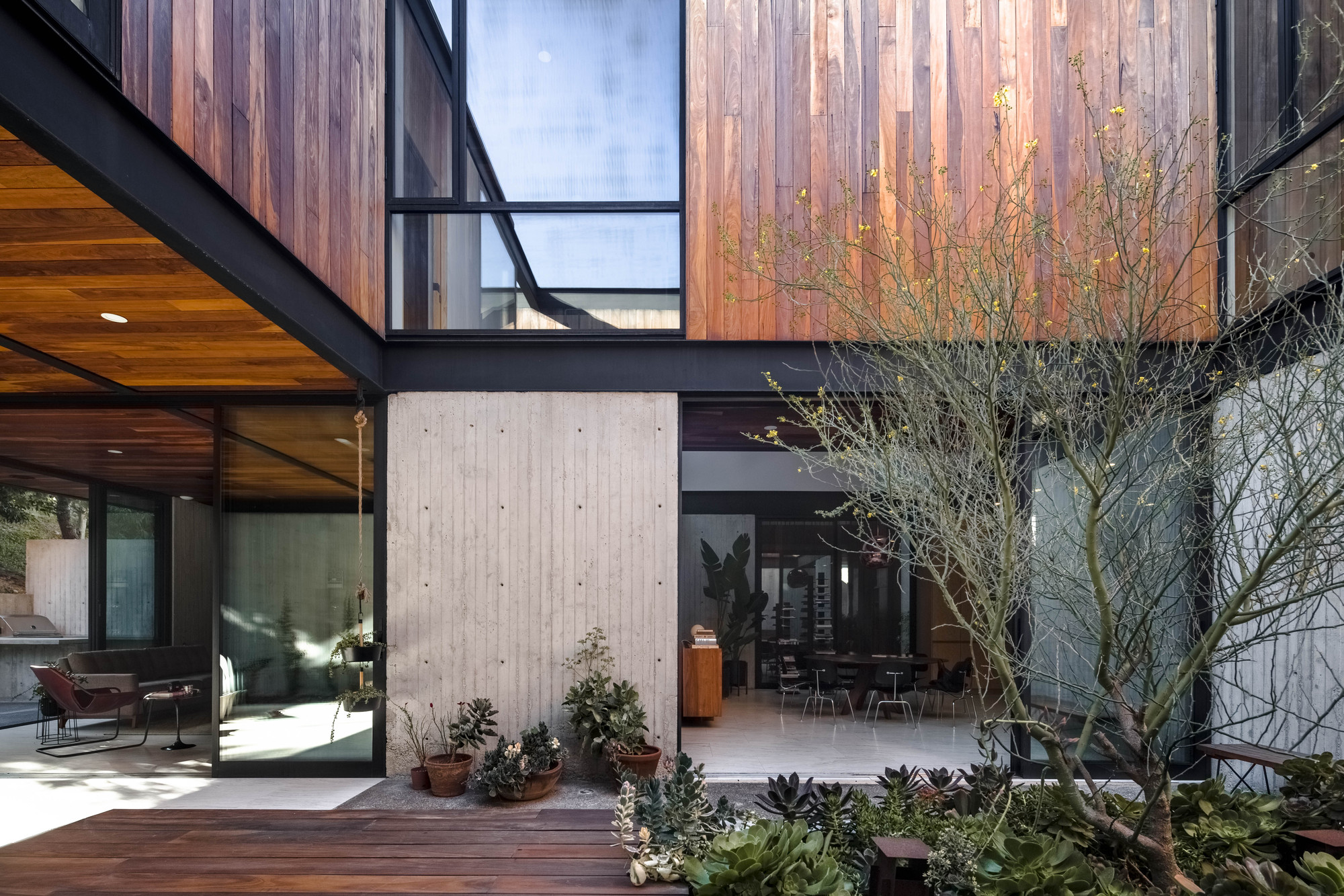 Courtyard corner with board-formed concrete wall, timber-clad upper volume and a bare tree above potted succulents in afternoon light