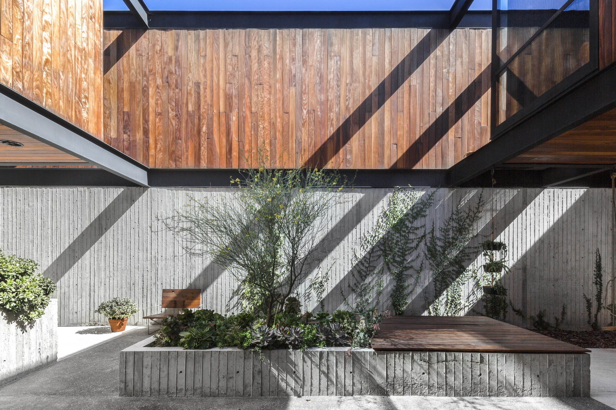 Courtyard with a planted concrete bed and timber bench, diagonal shadows falling across the board-formed wall and cladding