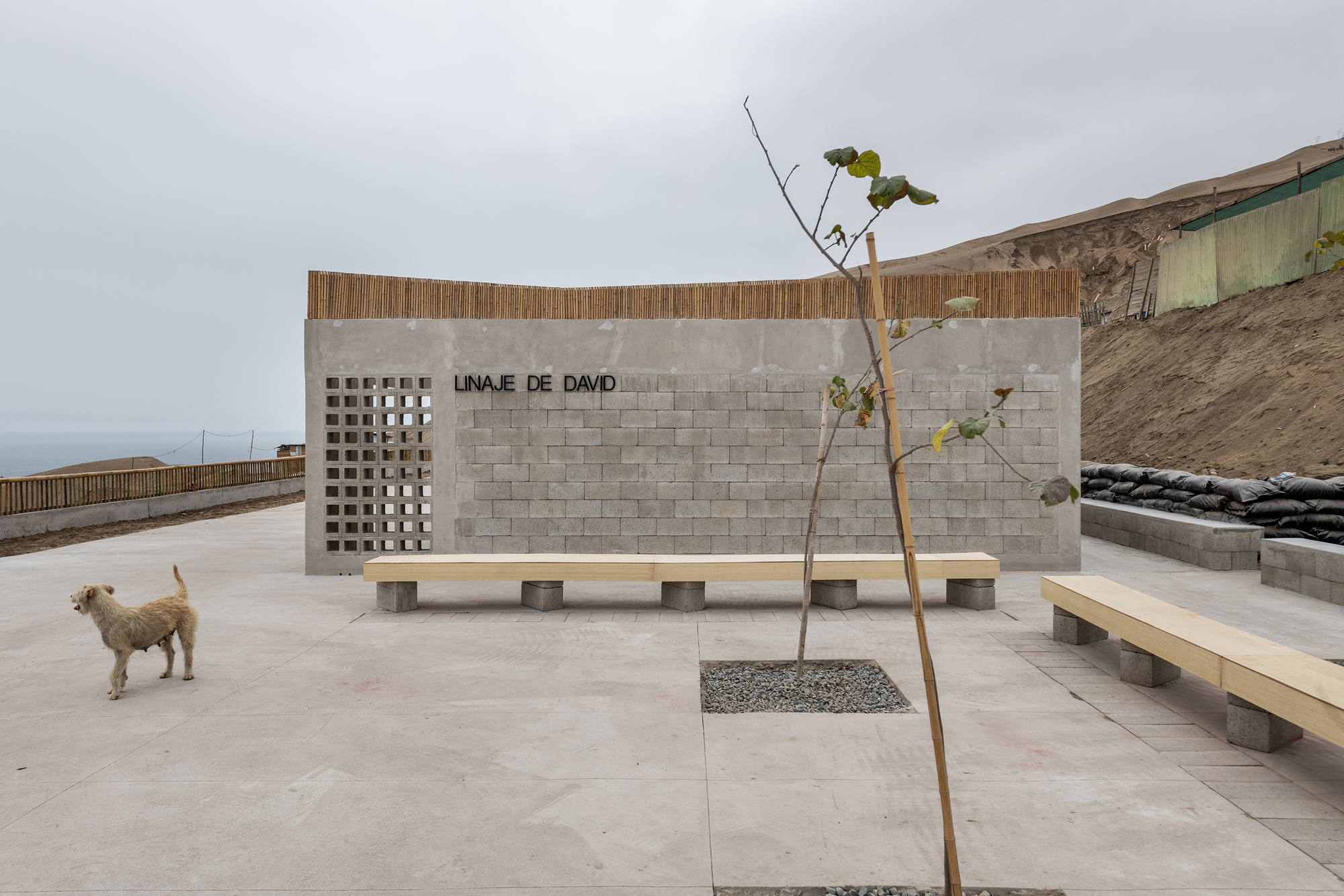 Concrete block wall with perforated screen and timber bench facing a courtyard with a dog