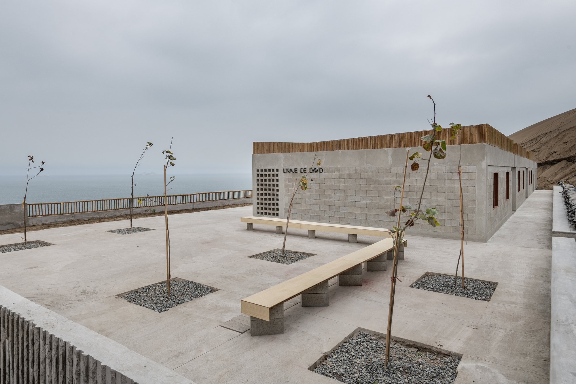 Timber bench between planted gravel beds in the concrete-paved courtyard under an overcast sky