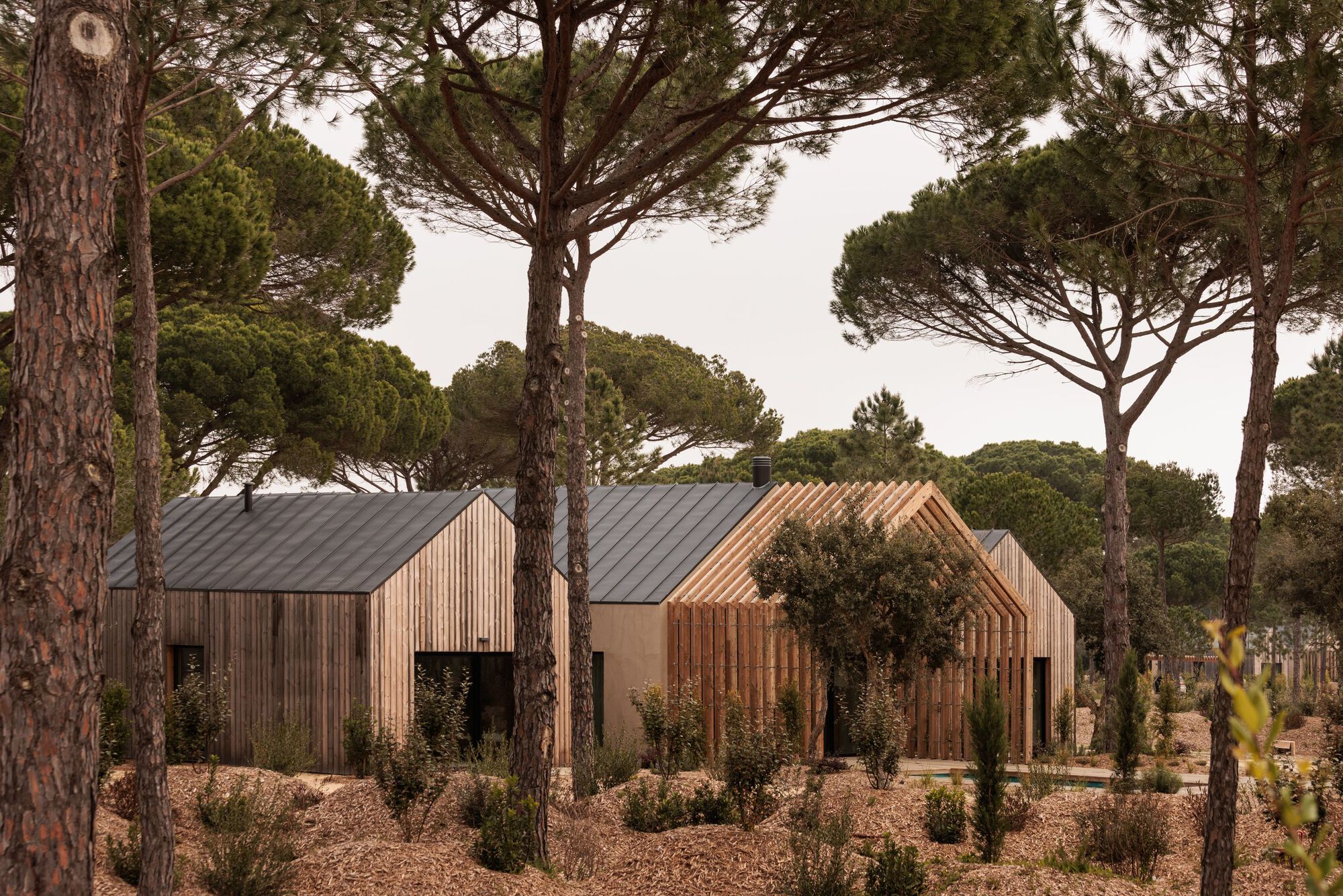 Three connected pitched-roof pavilions with timber and plaster facades framed by stone pines and native plantings