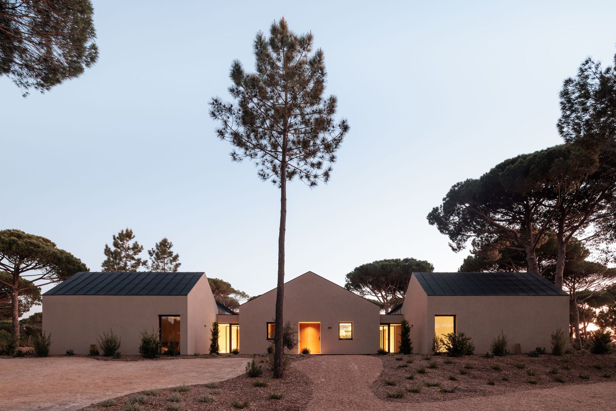 Courtyard entrance with illuminated interiors visible through openings at dusk beneath a solitary pine