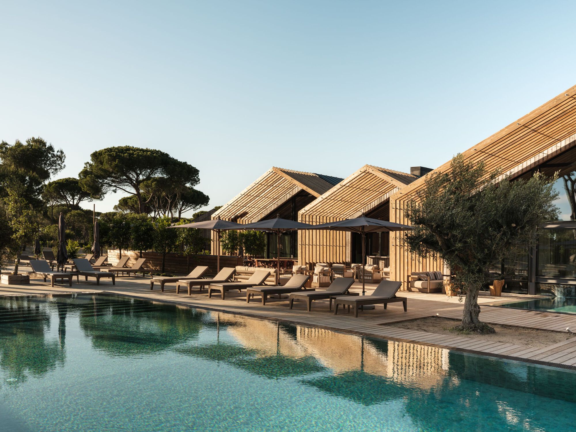 Timber louvered canopies over the pool deck with loungers and pine trees at sunset