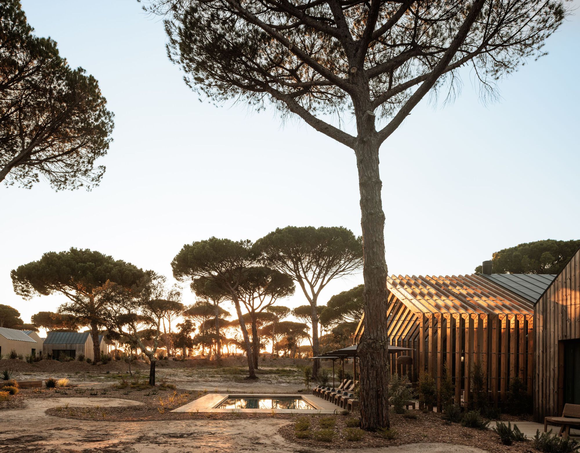 Sunken fire pit beneath pine trees with slatted timber pavilion at dusk