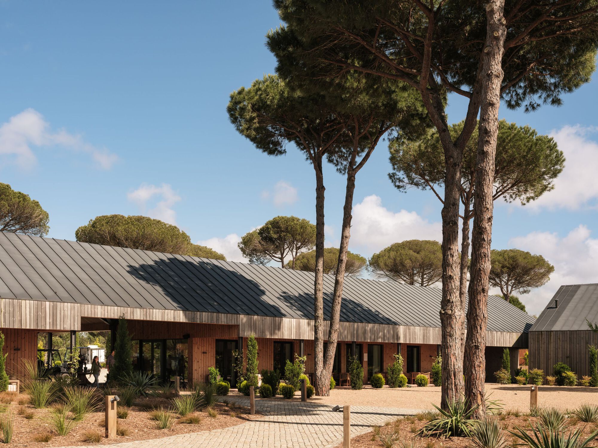 Main entrance with timber facade and corrugated metal roof between tall pines under blue sky