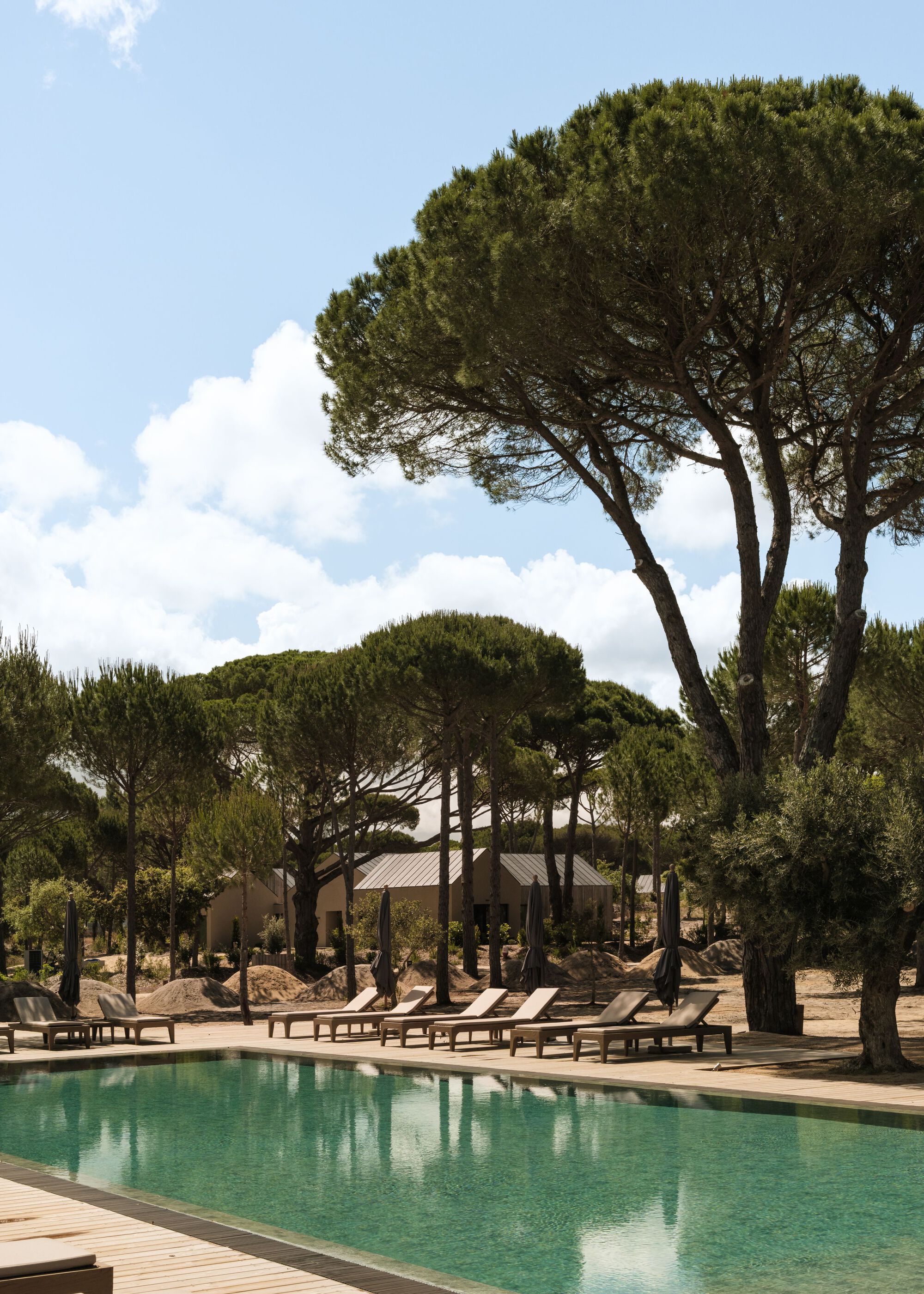 Pool deck with loungers framed by umbrella pines with stucco pavilion beyond