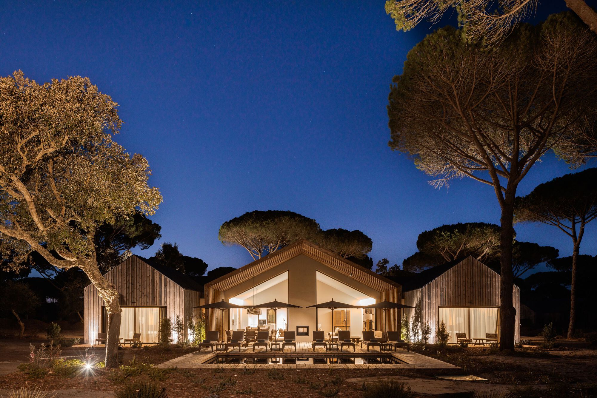 Central gabled pavilion with glazed walls flanked by timber-clad volumes under illuminated pine trees at dusk