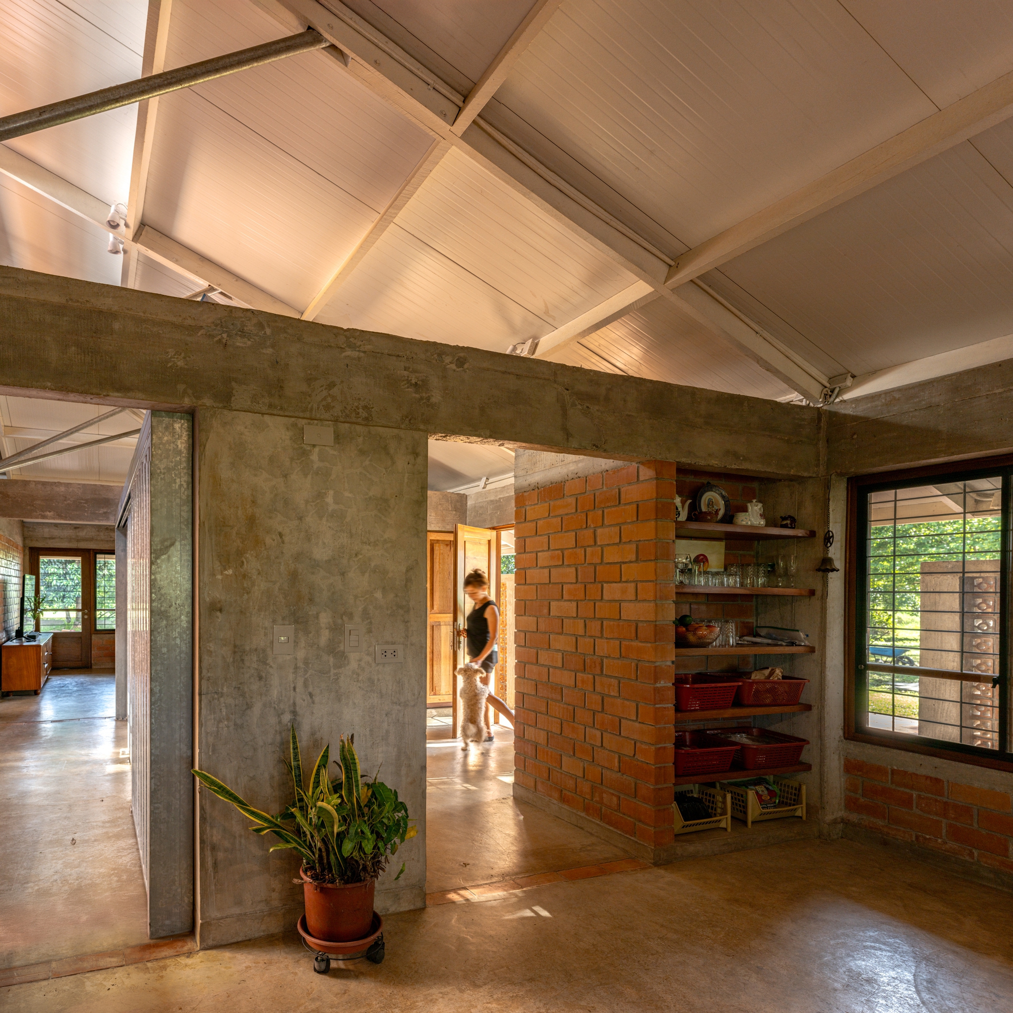 Interior view showing exposed concrete columns and beams with a timber-lined pitched ceiling and potted plant
