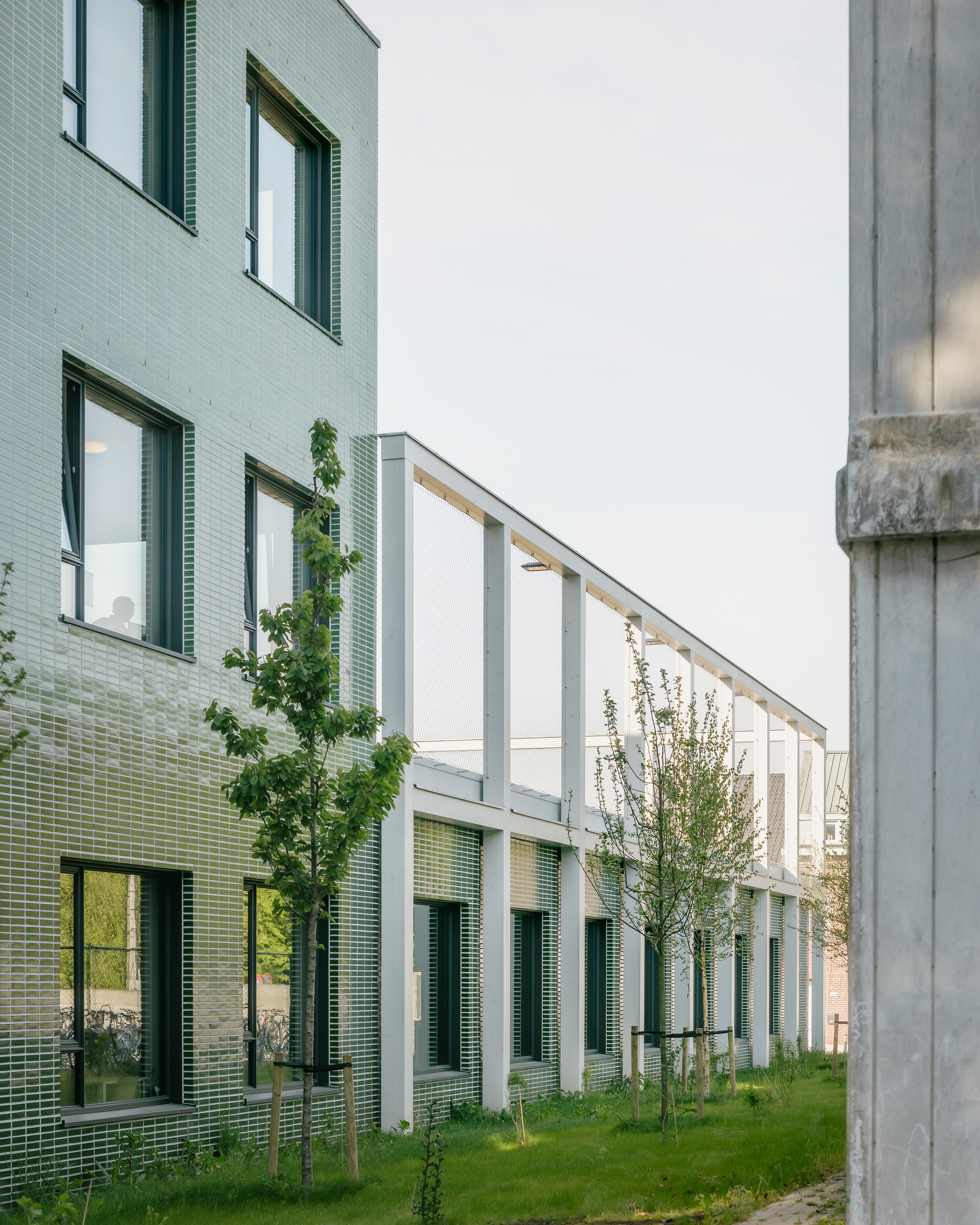 Narrow courtyard between green tiled facade and white steel colonnade with young planted trees