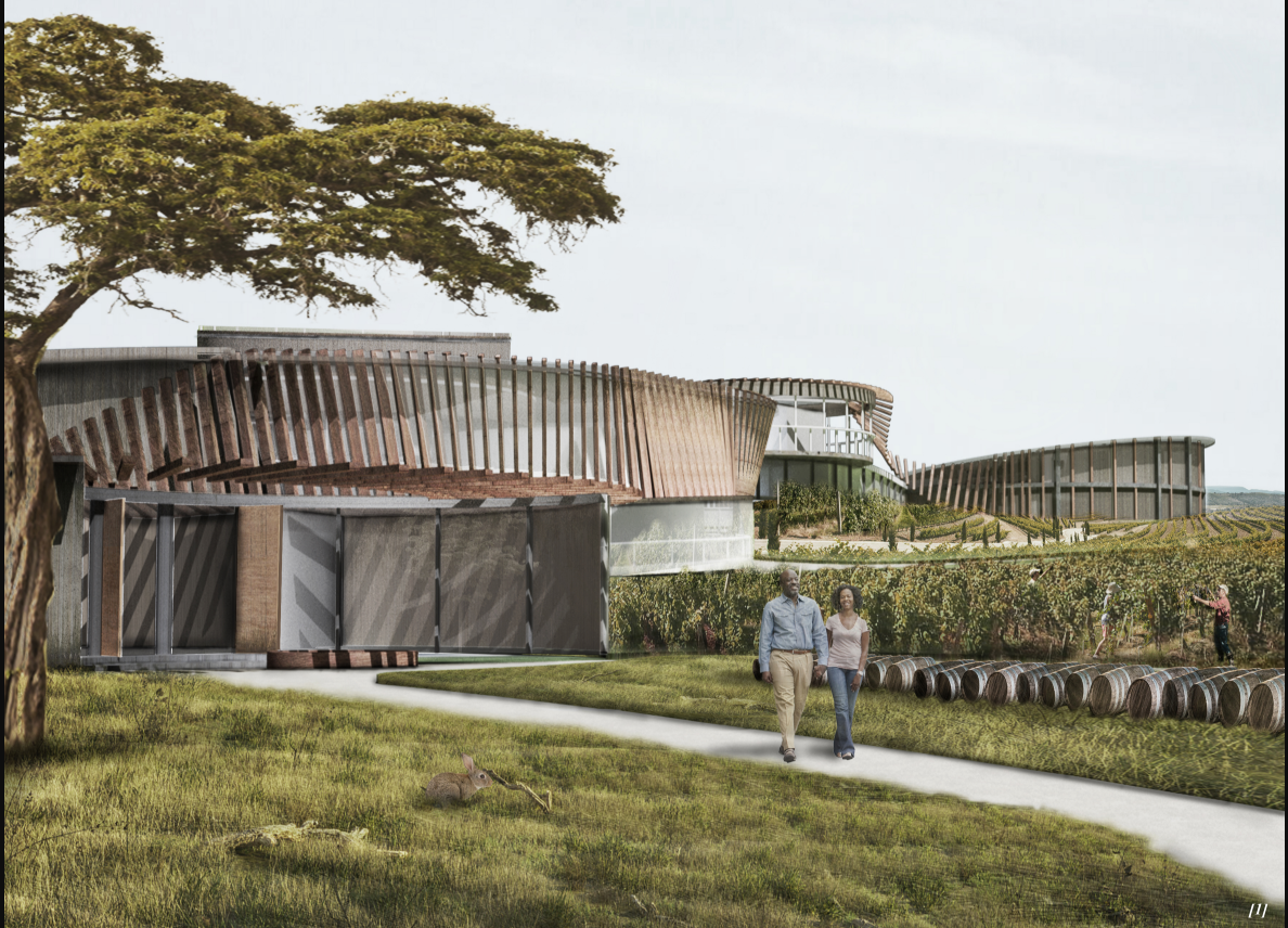 Timber-clad winery forms flow gently through the vineyard landscape.