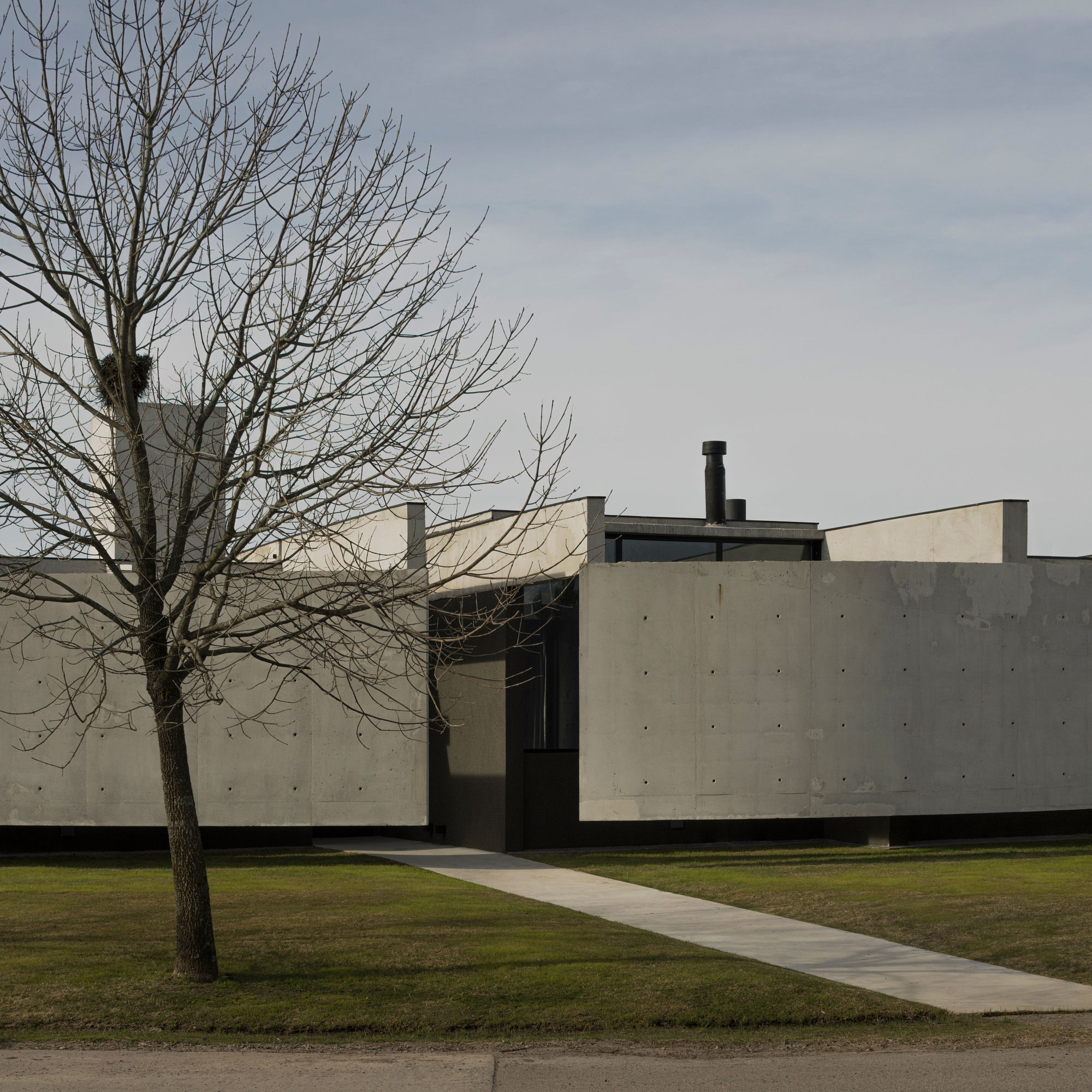 Concrete walkway leading to a recessed entrance flanked by a bare deciduous tree in winter