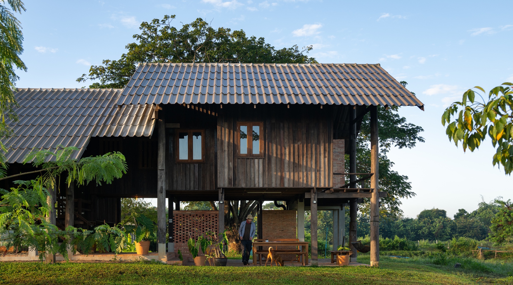 Weathered timber pavilion on concrete stilts with potted plants arranged beneath the shaded ground level