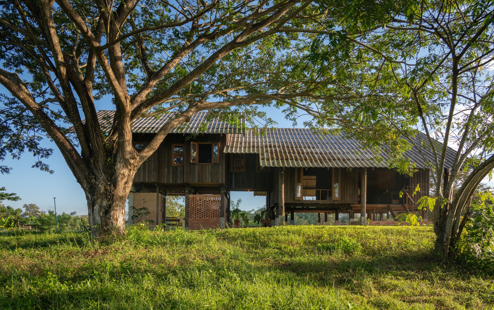 Front facade showing timber cladding and perforated brickwork framed by large trees in afternoon light