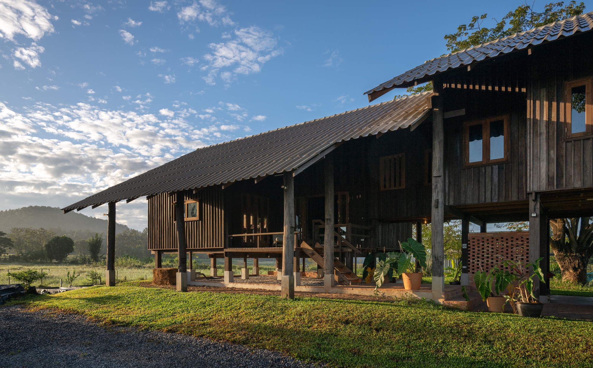 Weathered wood cladding and open ground floor terrace with potted plants in late afternoon light