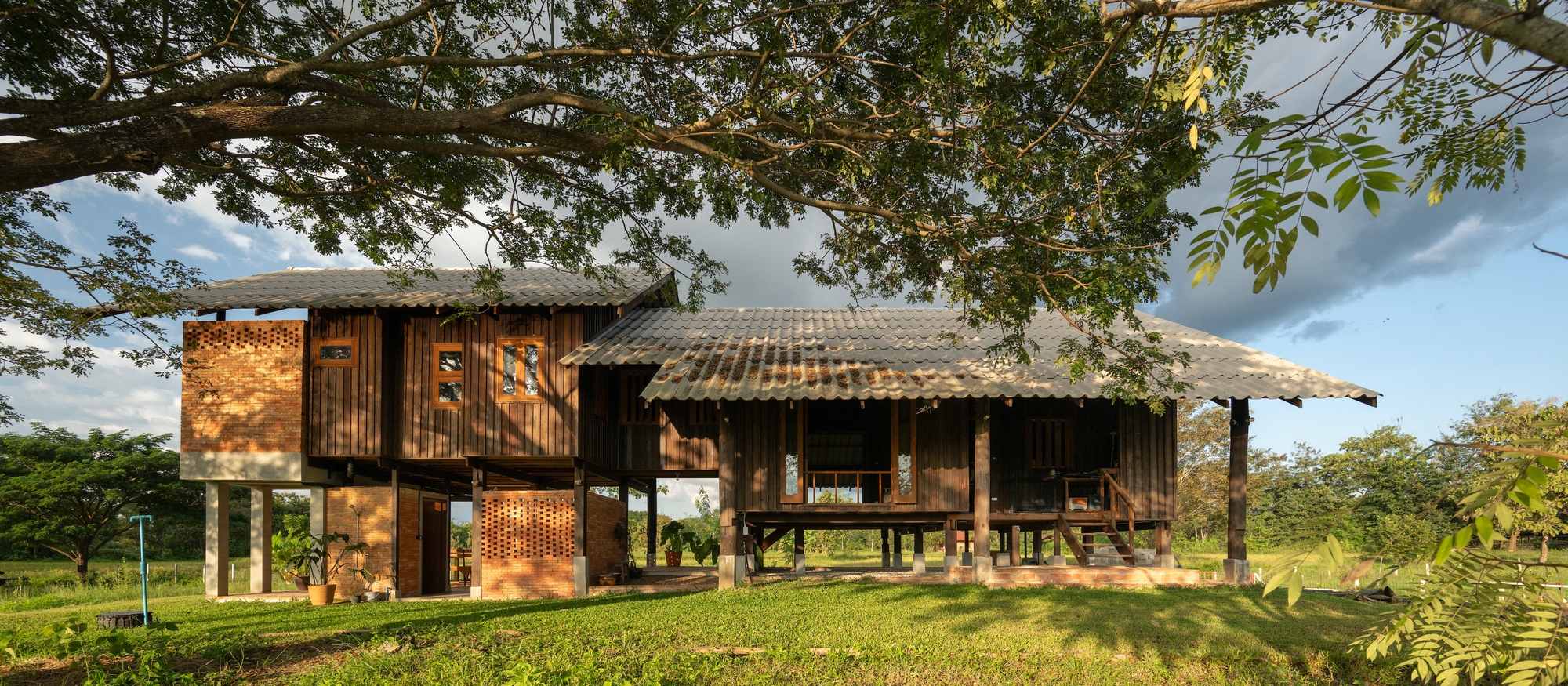Long elevation of the house with perforated brick screens under the canopy of a large tree
