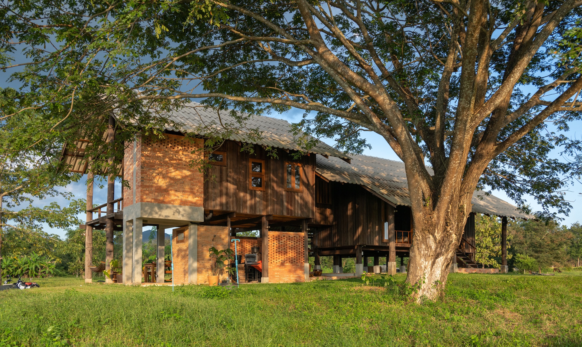 Facade with dappled sunlight filtering through tree branches onto the timber walls and brick volume