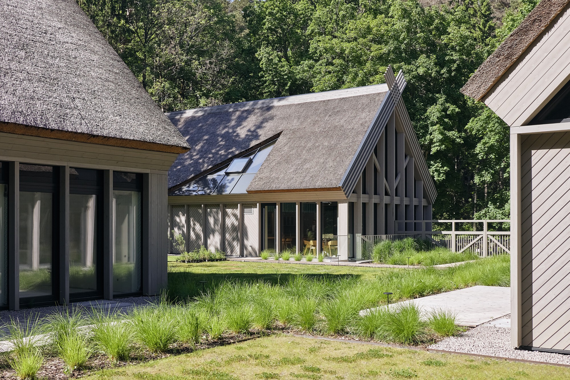 Courtyard view between thatched roof volumes with glazed facades and grassy meadow planting