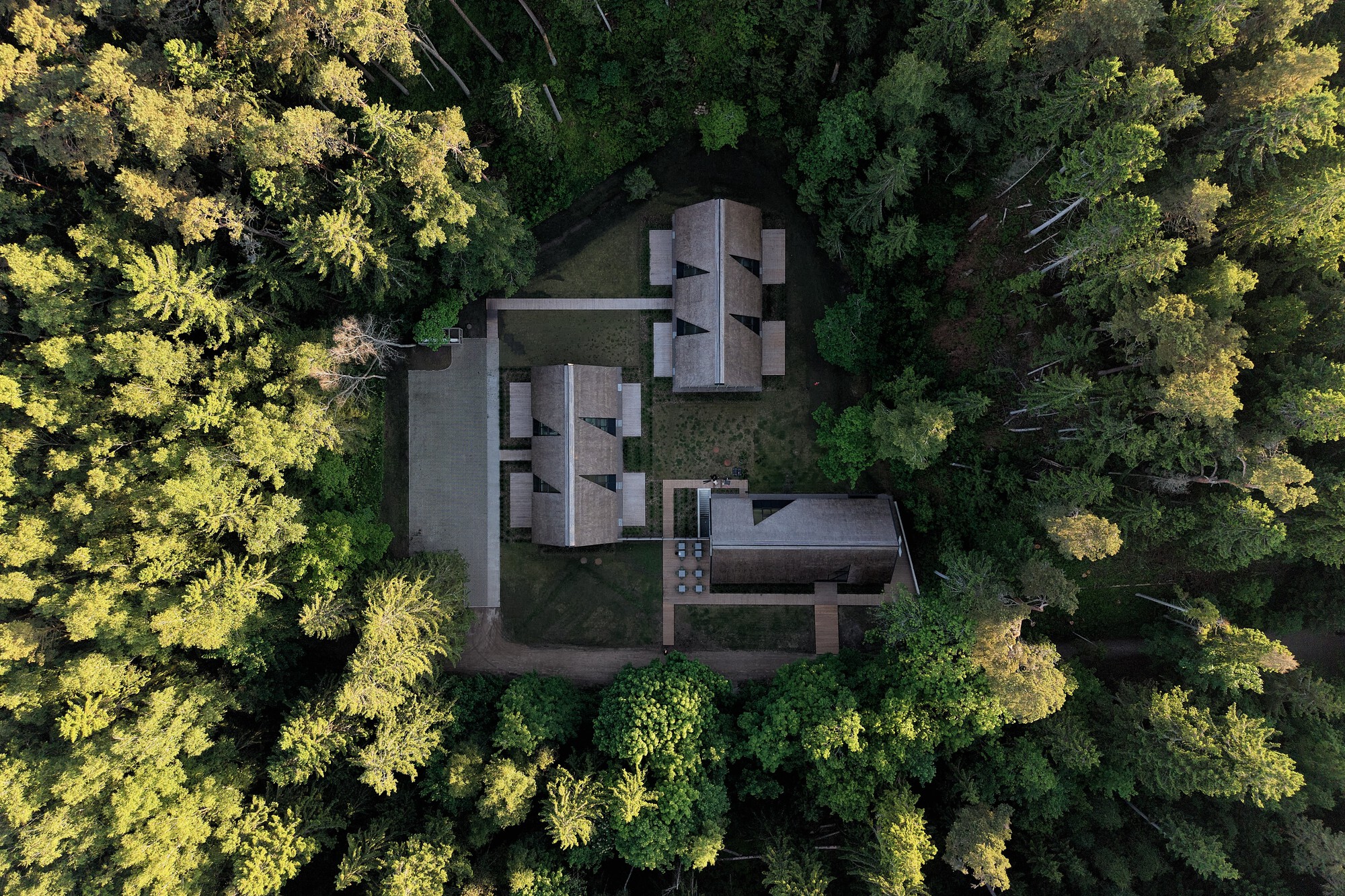 Aerial view of clustered thatched roof volumes set within a dense forest clearing