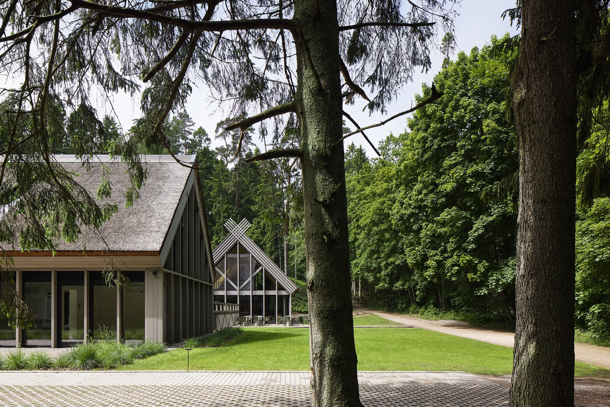 Entrance facade with vertical wood cladding and triangular glazed gable seen through tall trees