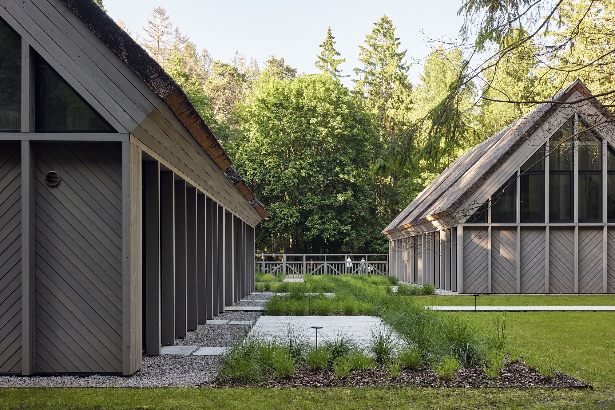 View between two clad volumes showing gravel beds with ornamental grasses under tree canopy