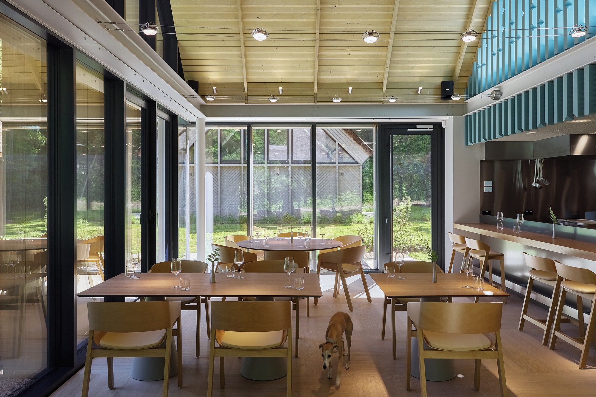 Dining room with light timber furniture and a dog walking across the polished floor beneath pendant lights