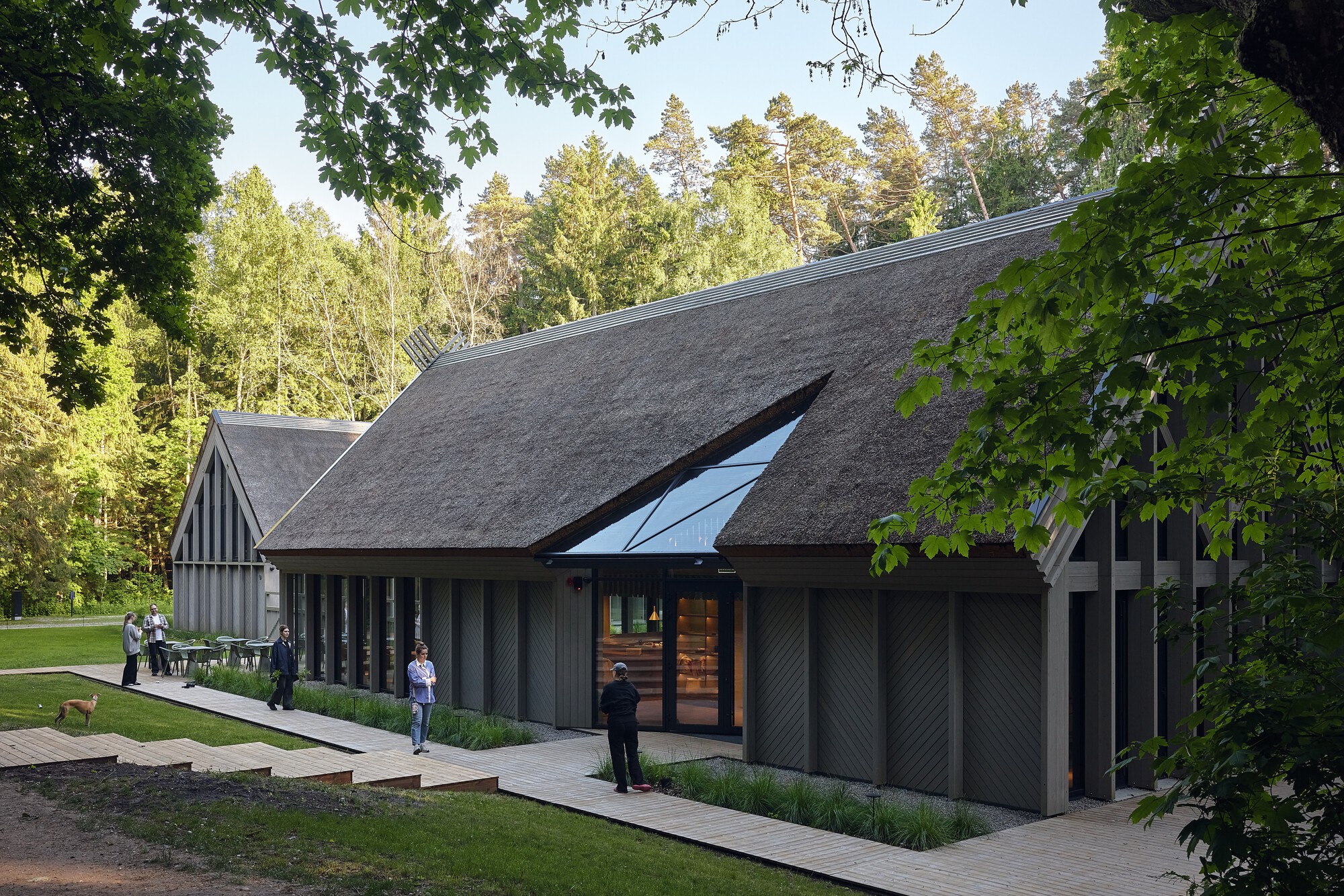 Angled view of the thatched roof with skylight cuts and dark timber cladding framed by summer foliage