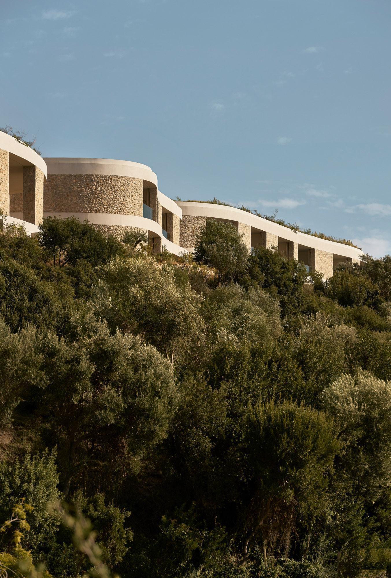 Horizontal stone and white facade with repeating openings emerging from olive and scrub plantings