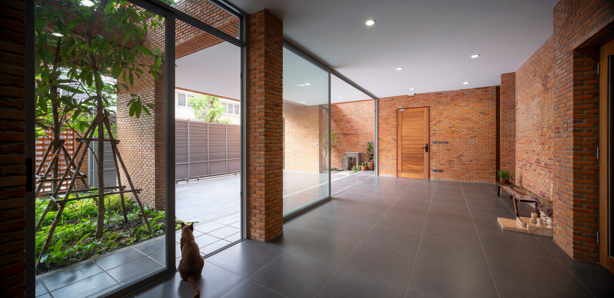 Entry corridor with floor-to-ceiling glass overlooking a planted courtyard and a cat