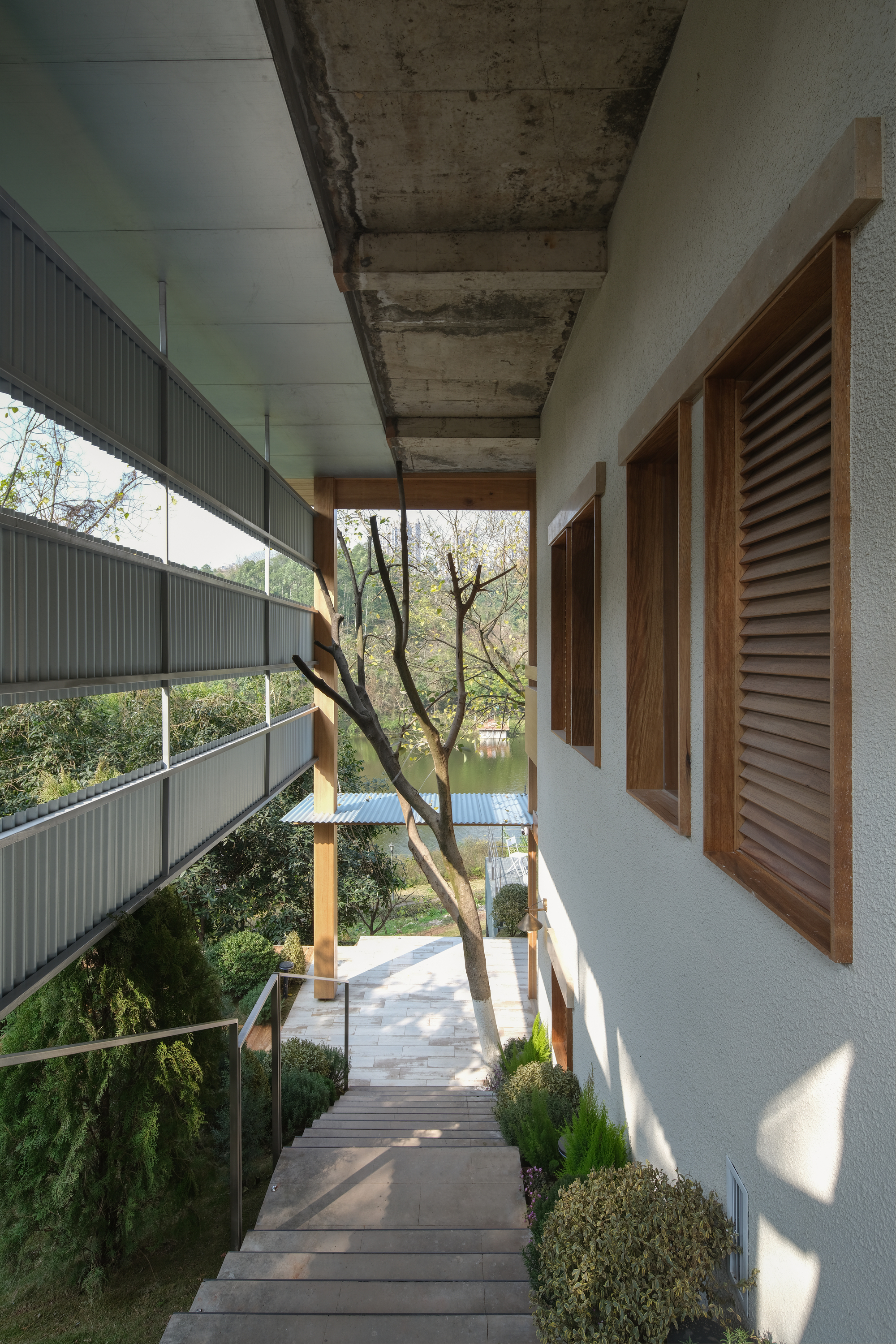 Exterior walkway with exposed concrete soffit, timber louvered shutters and metal railing beside a bare tree