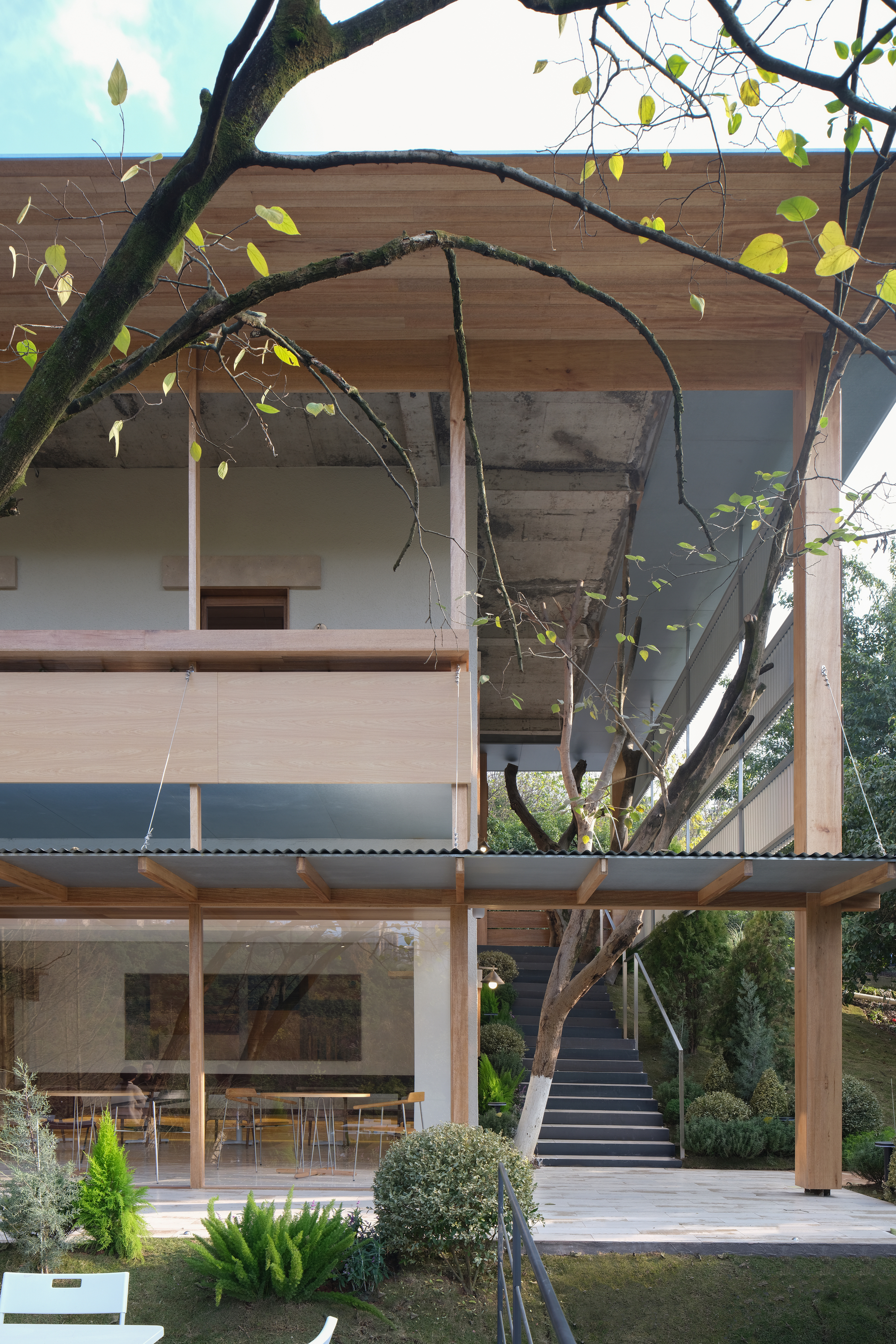Cantilevered timber overhang above an exterior staircase framed by a bare tree