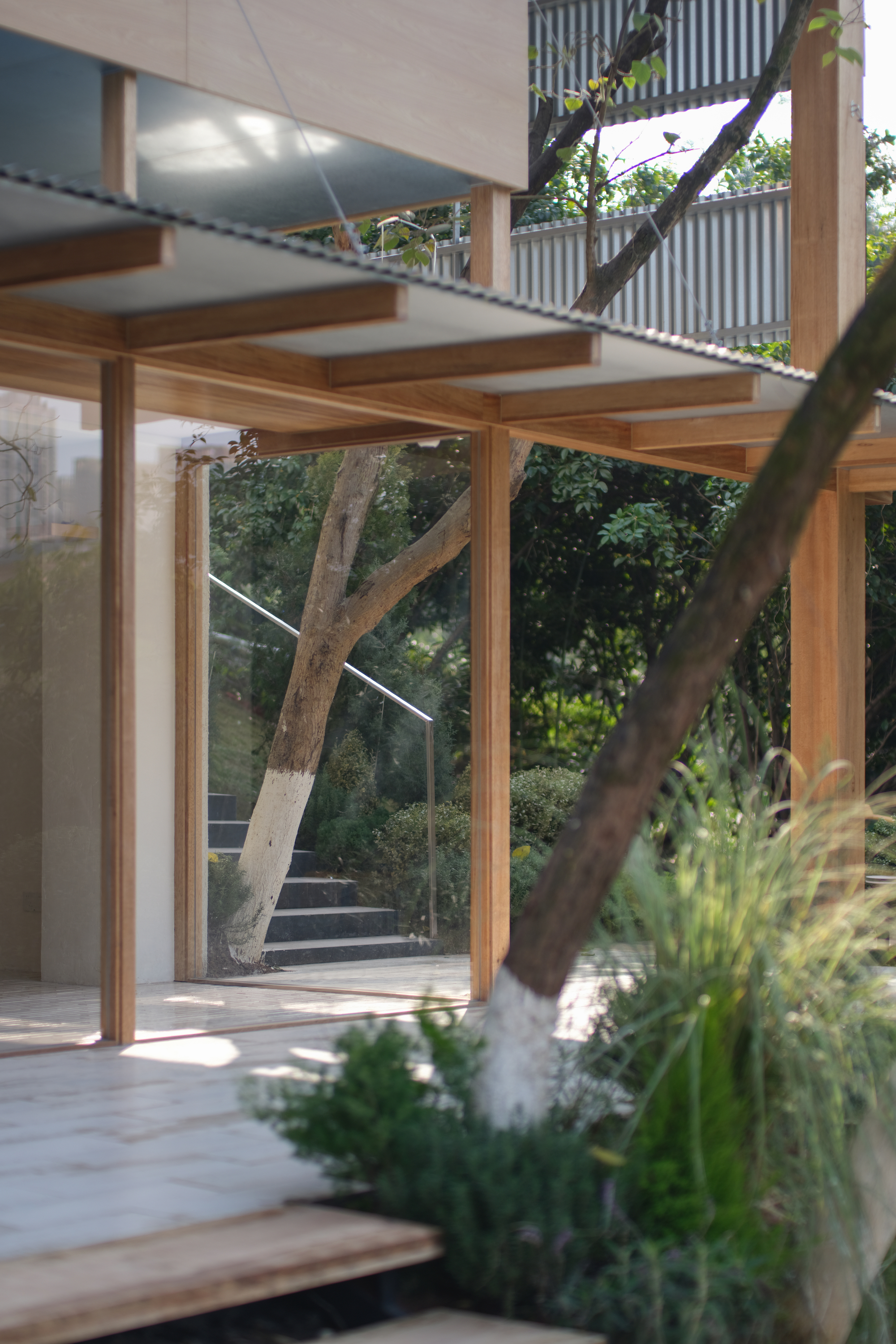 Timber framed glazing with exposed rafters and corrugated metal screen framing a stepped garden pathway