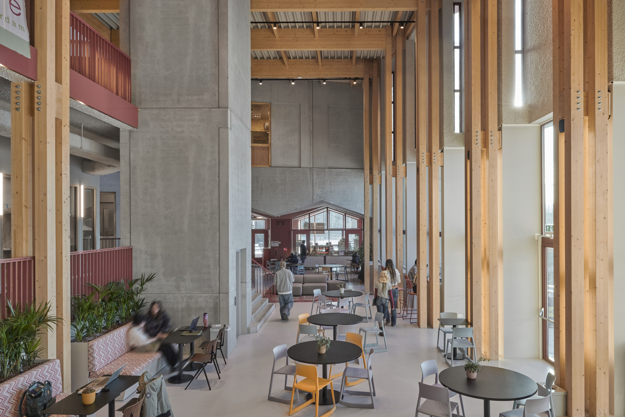Interior view down a cafe space lined with tall timber columns and concrete cores under exposed joists