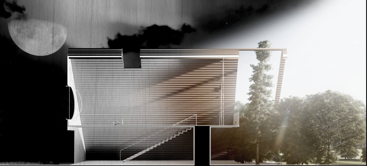 Architectural section contrasts darkness and light within the grandmother’s house.