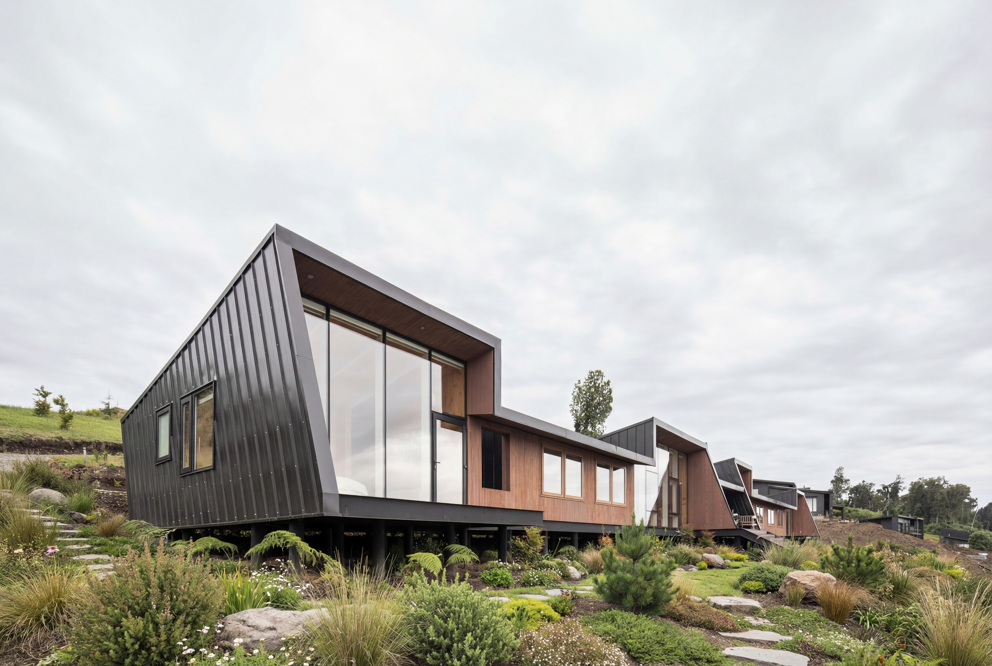 Cantilevered dark metal-clad volumes on pilotis set among native grasses on a terraced hillside under overcast skies