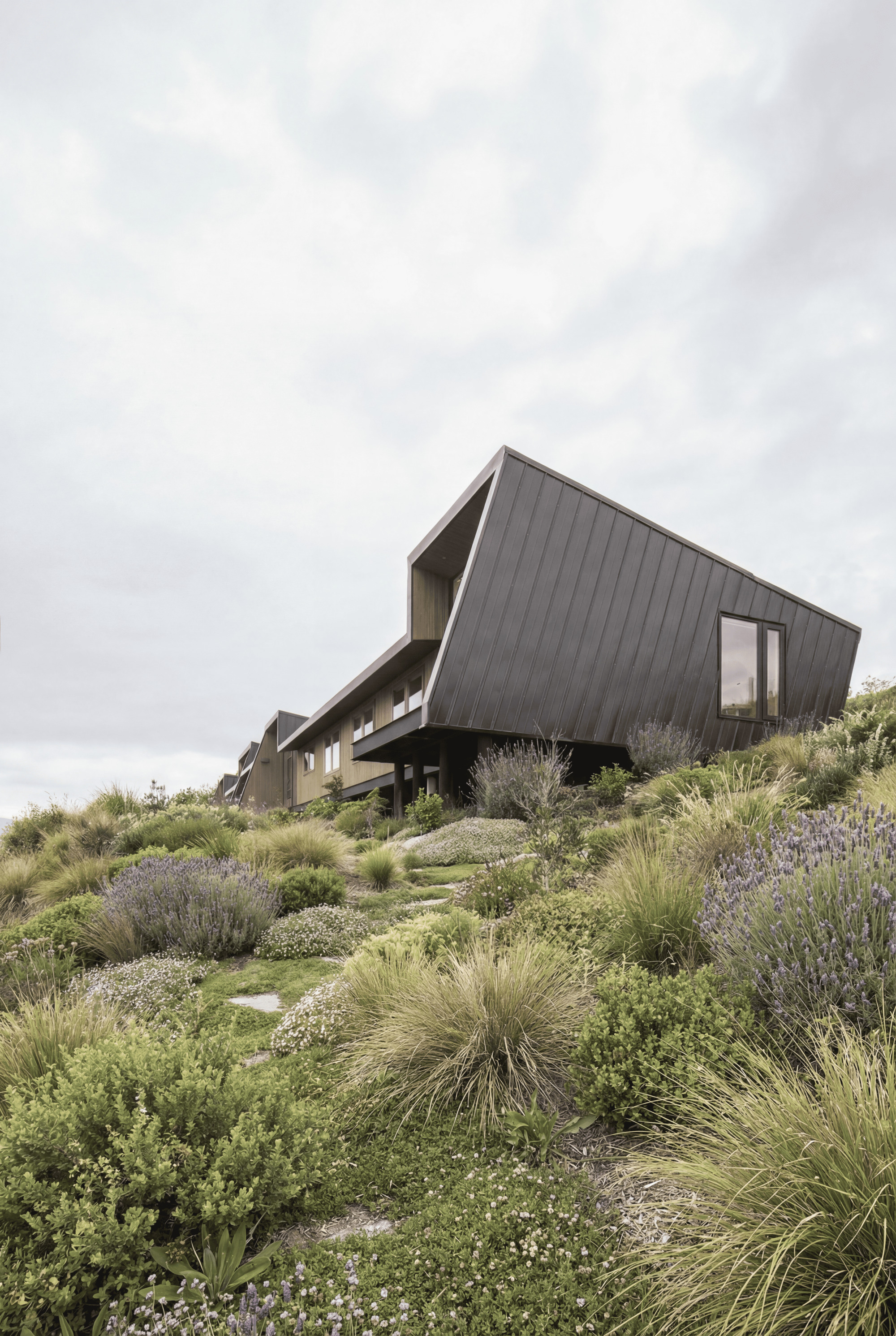 Angled dark metal-clad volume on steel columns rising above native planting beds with grasses and flowering shrubs