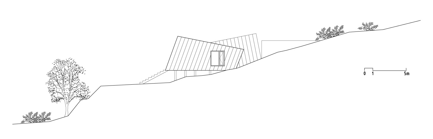 Section drawing showing the folded roof form embedded in the slope with flanking trees
