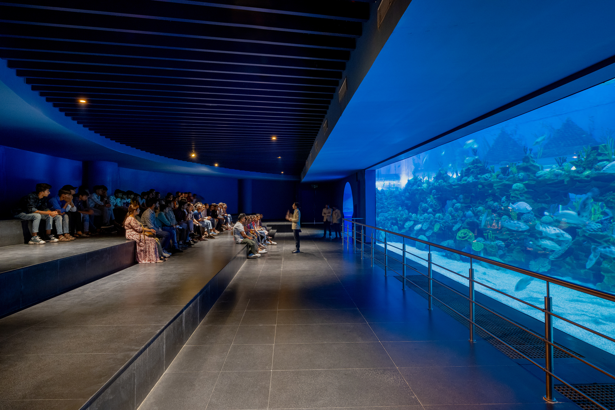 Darkened auditorium with tiered concrete seating facing a large aquarium window illuminated in blue light at dusk
