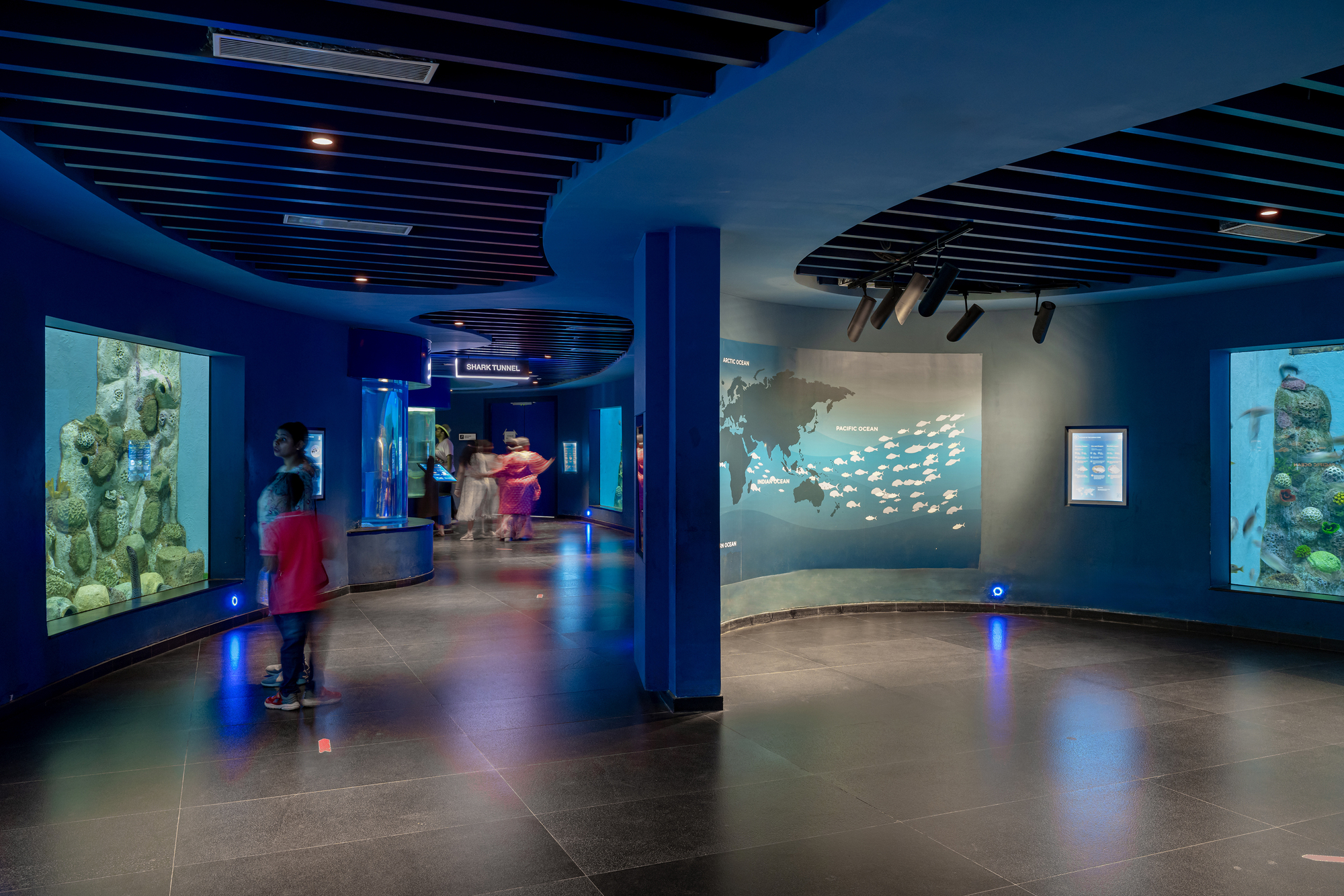 Gallery space with circular ceiling panels and blue walls displaying aquarium tanks and projection screens with visitors walking through