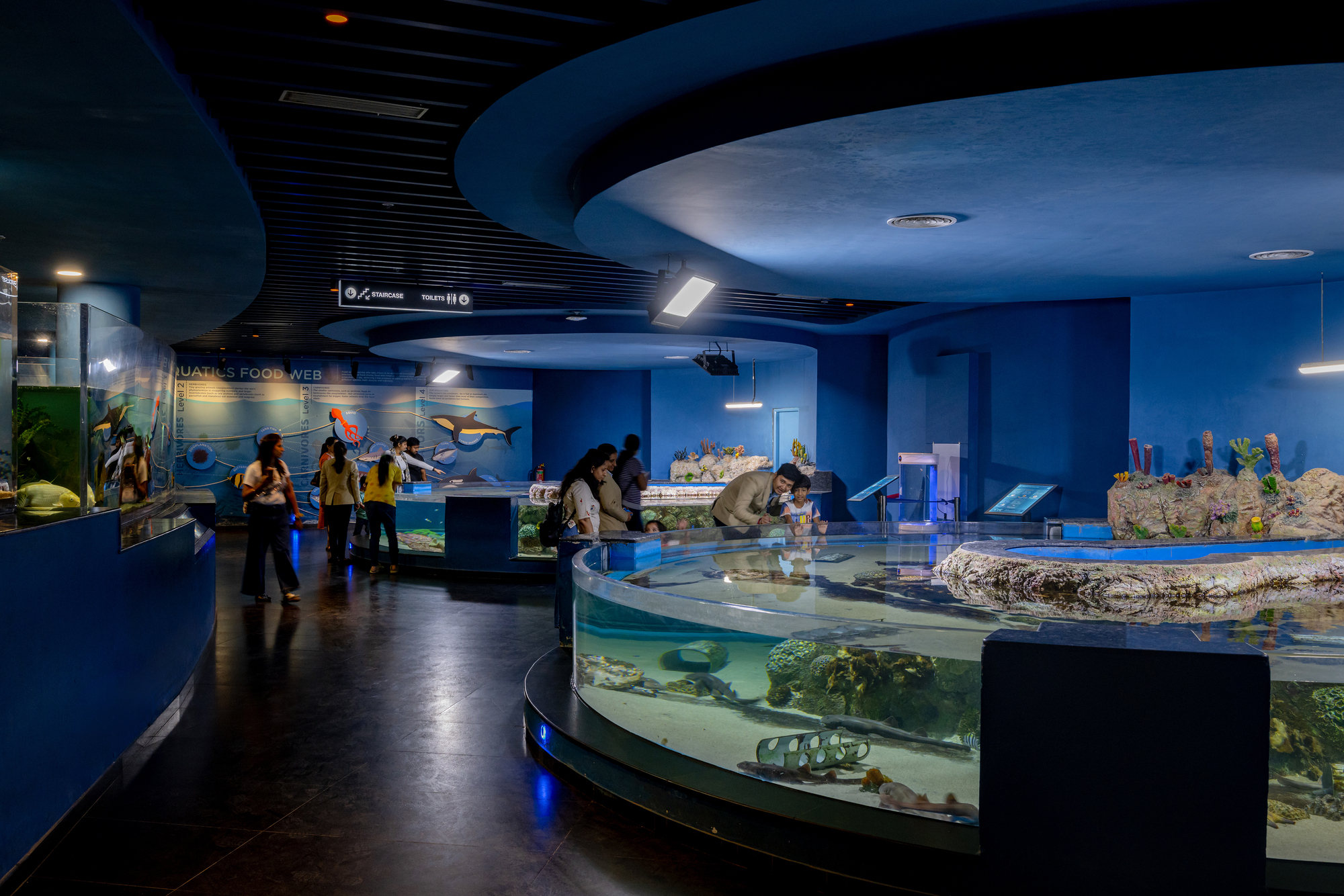 Interactive touch pool area with circular tanks and blue painted surfaces under a curved ceiling with suspended lighting