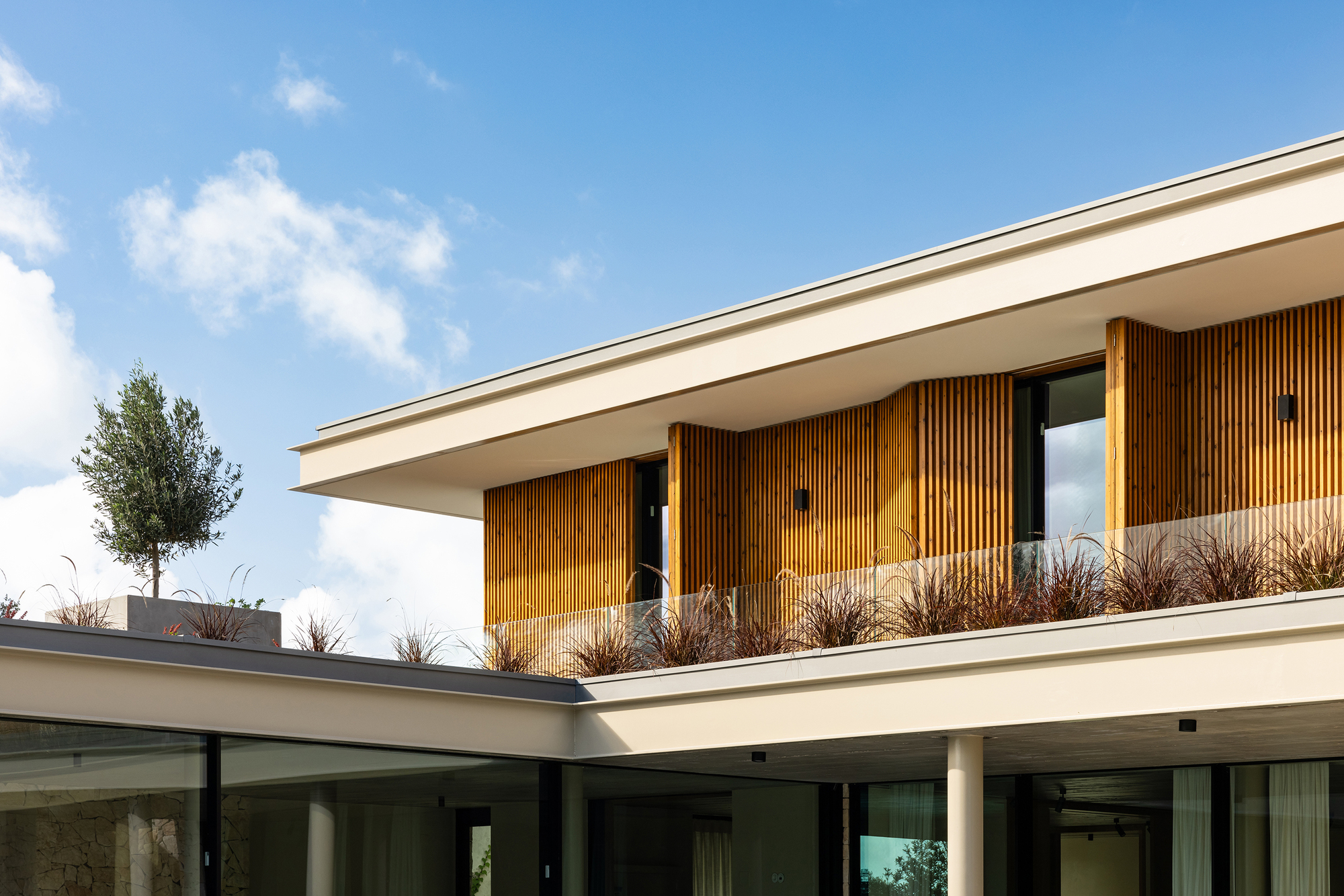 Upper terrace with vertical timber cladding and ornamental grasses beneath the cantilevered roof plane